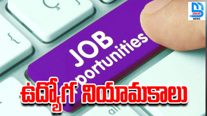 alt="బ్యాంక్ ఆఫ్ బరోడా నియామకాలు 2024 Samachara News"